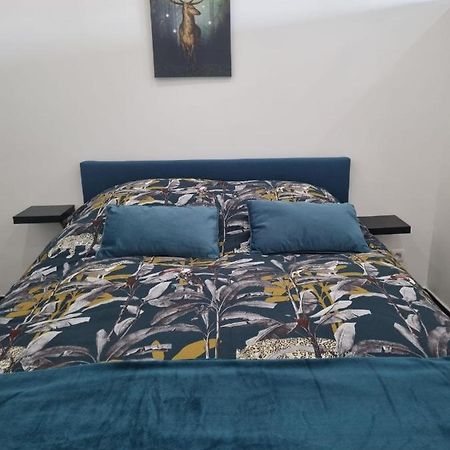 Appartamento Les Mirabelles Metz Esterno foto